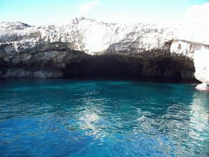 <p>
	Grotte marine</p>
